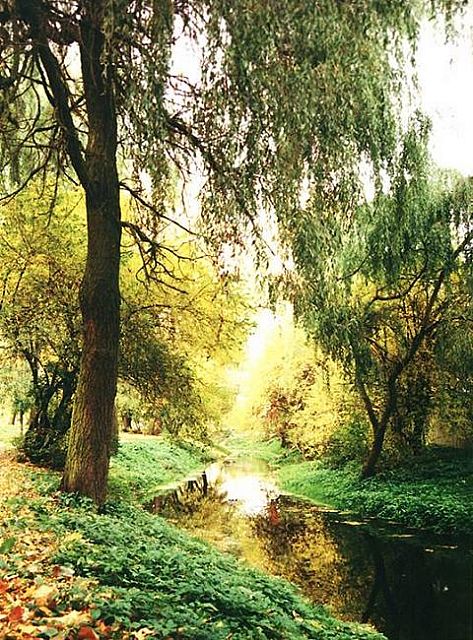 Rzeka Dymer - jesień