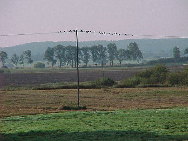 Okolice Biskupca