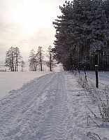 Albumy autorskie