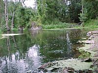 Okolice Biskupca