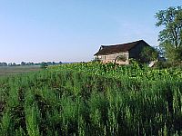 Okolice Biskupca